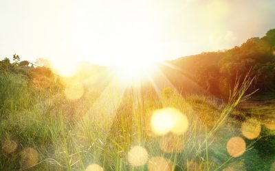 SIG: The Dawn of a New Era