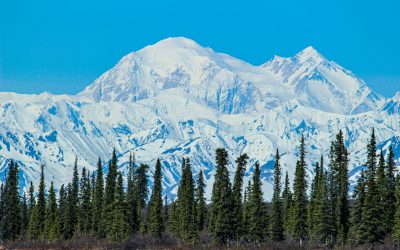 Satcoms in a Cold Climate: Alaska Site for Latest ViaLite RFoF Links