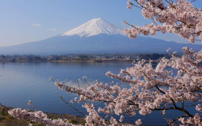 ViaLite’s Mil-Aero Link Meets Demanding Satcom Requirements in Japan